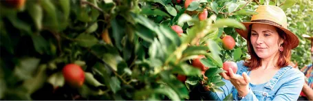 the power of fall rituals